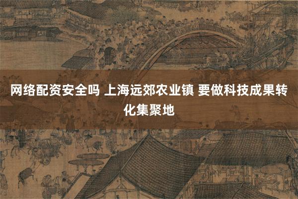 网络配资安全吗 上海远郊农业镇 要做科技成果转化集聚地