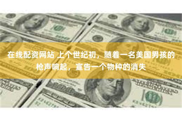 在线配资网站 上个世纪初，随着一名美国男孩的枪声响起，宣告一个物种的消失
