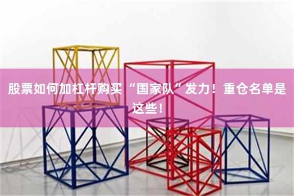 股票如何加杠杆购买 “国家队”发力！重仓名单是这些！