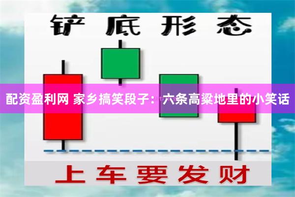 配资盈利网 家乡搞笑段子：六条高粱地里的小笑话
