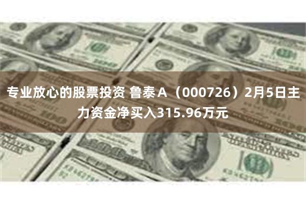 专业放心的股票投资 鲁泰Ａ（000726）2月5日主力资金净买入315.96万元