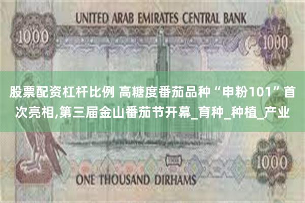 股票配资杠杆比例 高糖度番茄品种“申粉101”首次亮相,第三届金山番茄节开幕_育种_种植_产业