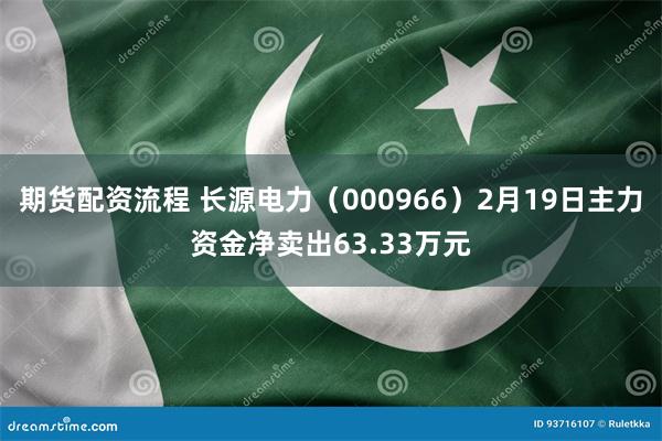 期货配资流程 长源电力（000966）2月19日主力资金净卖出63.33万元