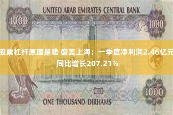股票杠杆原理是啥 盛美上海：一季度净利润2.46亿元 同比增长207.21%