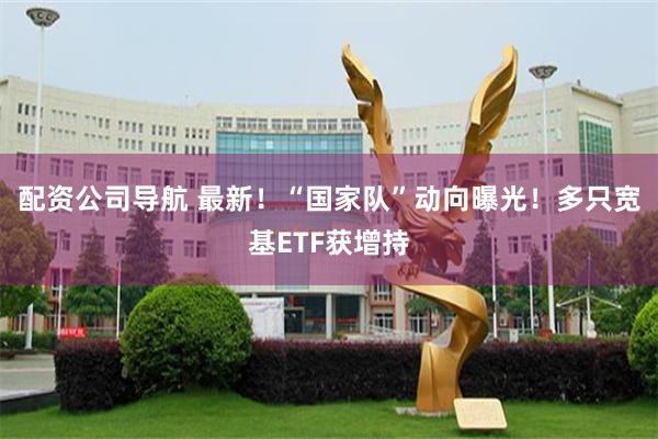 配资公司导航 最新！“国家队”动向曝光！多只宽基ETF获增持