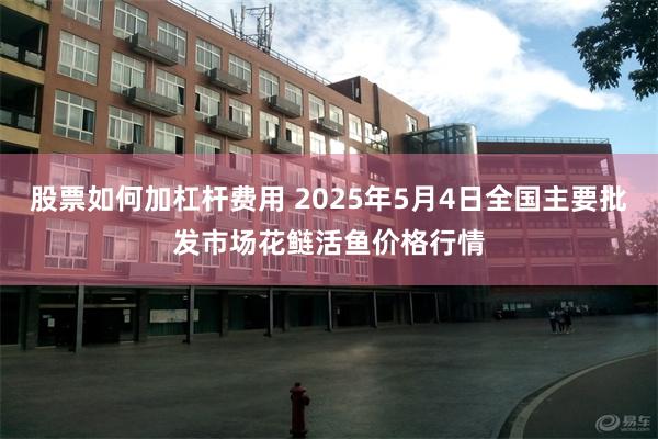 股票如何加杠杆费用 2025年5月4日全国主要批发市场花鲢活鱼价格行情
