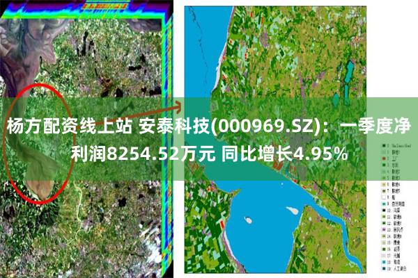 杨方配资线上站 安泰科技(000969.SZ)：一季度净利润8254.52万元 同比增长4.95%