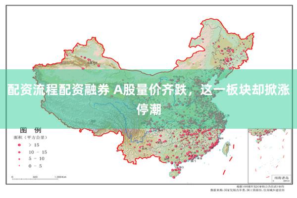 配资流程配资融券 A股量价齐跌，这一板块却掀涨停潮