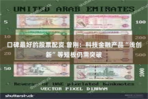 口碑最好的股票配资 曾刚：科技金融产品“浅创新”等短板仍需突破