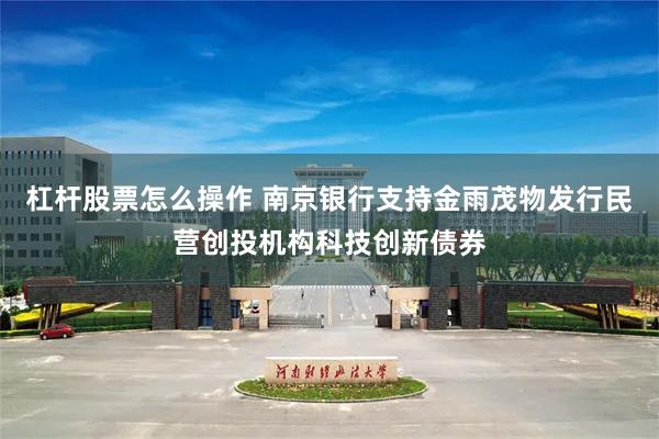 杠杆股票怎么操作 南京银行支持金雨茂物发行民营创投机构科技创新债券