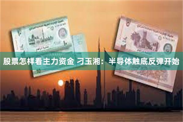 股票怎样看主力资金 刁玉湘:半导体触底反弹开始