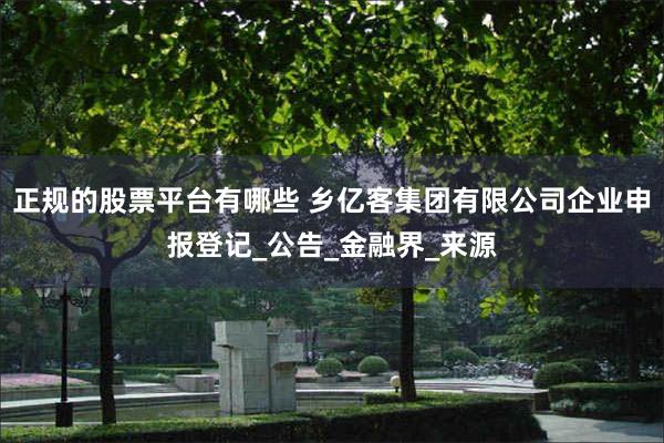 正规的股票平台有哪些 乡亿客集团有限公司企业申报登记_公告_金融界_来源