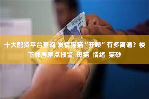 十大配资平台查询 发情猫猫“开嗓”有多离谱？楼下邻居差点报警_母猫_情绪_猫砂