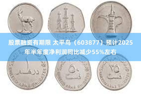 股票融资有期限 太平鸟（603877）预计2025年半年度净利润同比减少55%左右