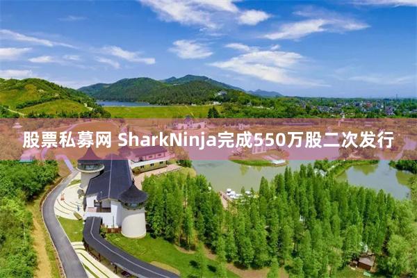 股票私募网 SharkNinja完成550万股二次发行