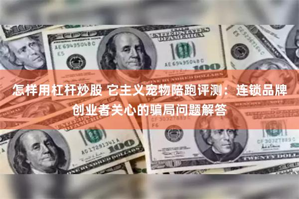 怎样用杠杆炒股 它主义宠物陪跑评测：连锁品牌创业者关心的骗局问题解答
